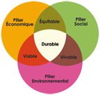 Schema du développement durable